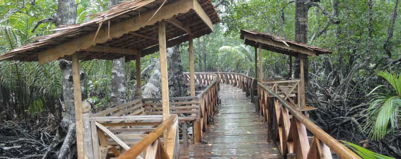 Dhaninallah Andaman Travel