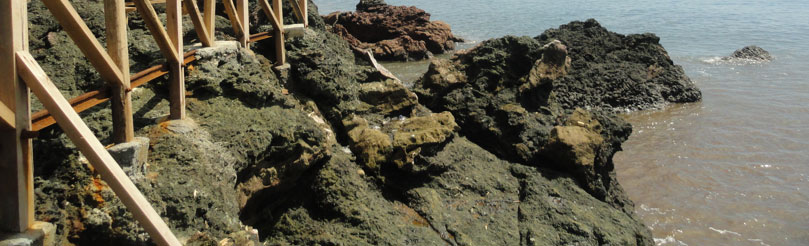 Kalapathar Beach Andaman Travel