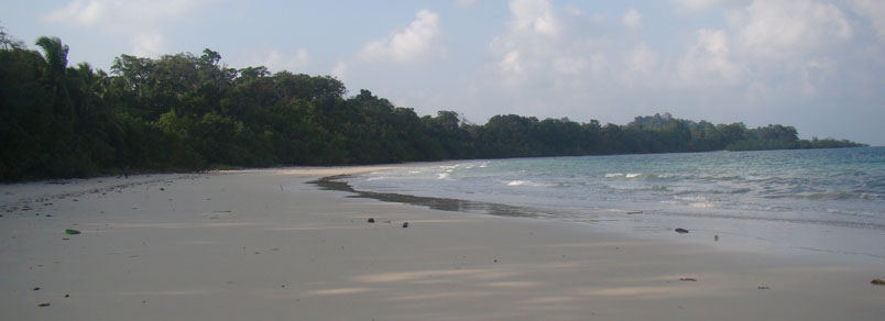 Mark Bay Andaman Travel