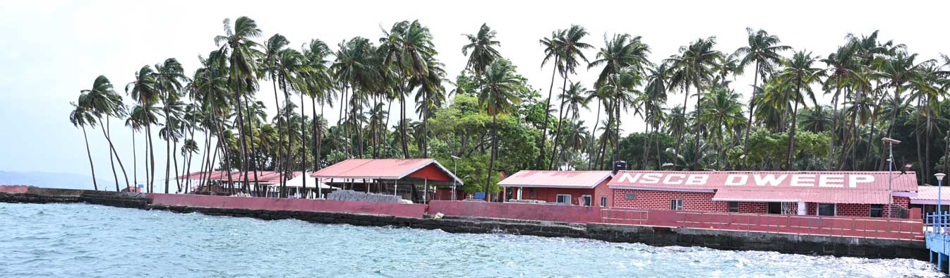 Ross Island Andaman Travel