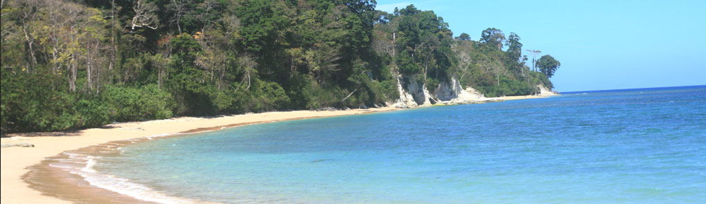 Sitapur Beach Andaman Travel